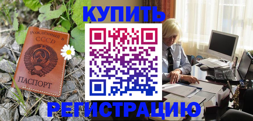 временная регистрация недорого в Зеленогорске